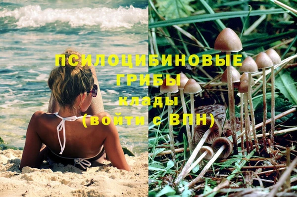 Альфа ПВП Алексеевка