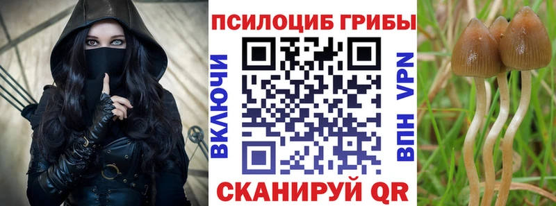 Псилоцибиновые грибы прущие грибы Чаплыгин